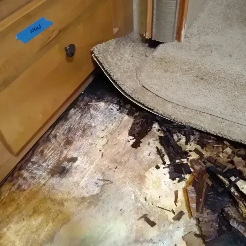 Wood Floor Water Damage in Wayne County, NY